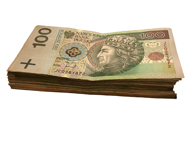 Jak sprawdzić ile rat pozostało do spłaty kredytu w banku Millennium